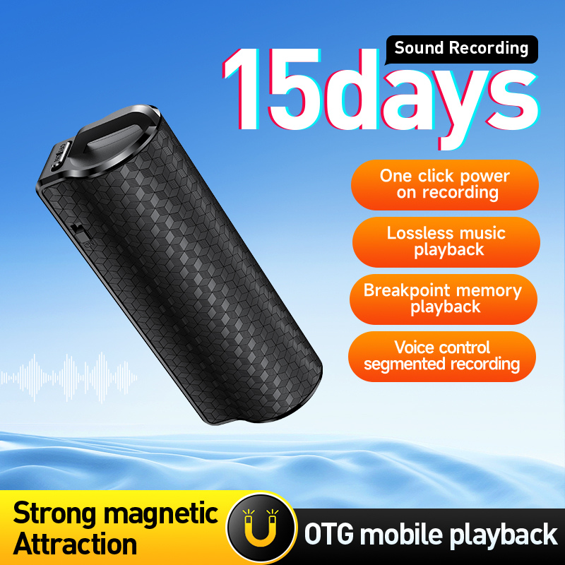 Professional Voice Recorder Di - Voice Recorder Pen review and price